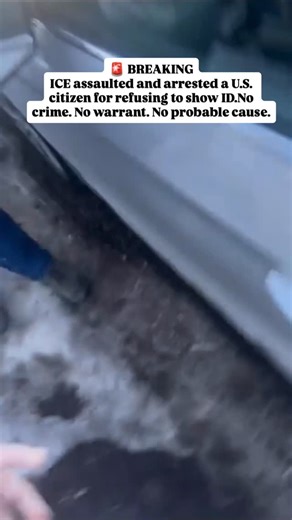 Ruben Torres on Instagram: "Do you think ICE is stealing? ICE agents in Minneapolis assaulted and arrested a U.S. citizen for refusing to show ID. No crime. No warrant. No probable cause. An agent admits it on camera: “All we needed was your ID.” Threats, an illegal search, and a retroactive cover story followed—after they found a legally owned firearm in a conceal-carry state. Refusing to carry papers is not a crime. If it gets you arrested anyway, this isn’t law enforcement. It’s a police stat