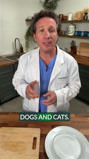 SAFE or TOXIC? Fall Foods for Dogs & Cats You Need to Know!