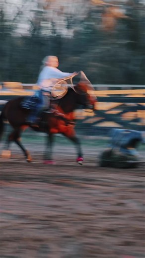 working slowly towards roping 💗💗 | Goat Roping