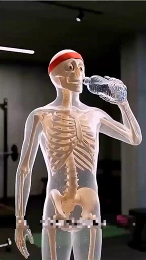 🎯 Title:“Skeletal Pull-Up: Human Body Power Explained | Fitness & Health Animation”