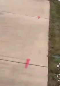 A disturbing video out of South Bend is sparking outrage across Indiana. The footage shows a police officer pinning a crying Black teenager to the ground outside of a McDonald’s after she reportedly asked for a refund over food safety concerns. Witnesses say the girl, believed to be 13 or 14 years old, pleaded for her mother as bystanders recorded the incident. The video has gone viral, drawing sharp criticism from community members who see this as yet another example of excessive force against 