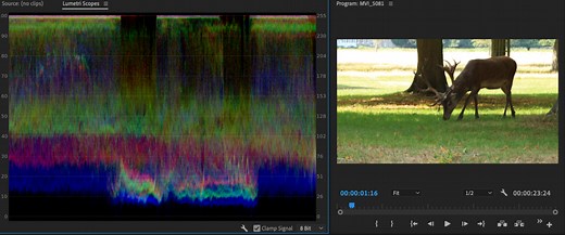 A Beginners Guide to Lumetri Scopes Functionality