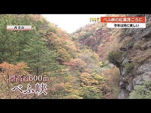 県内有数の紅葉スポット“べふ峡”で紅葉見頃 今年は例年にない美しさ【高知】 (20/11/06 20:30)