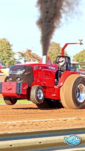 'Extreme Temptation' im Finale - Case IH Magnum 340 Prostock