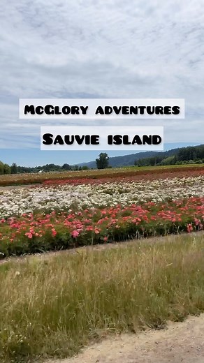 McGlory adventures, week 1: Sauvie Island. This is one of the largest islands in the US, offers multiple u-pick produce farms, gorgeous scenery, and a handful of beaches, (1 of which is clothing optional! 🫣) #familyvlog #sauvieisland #portlandoregon #vlog | Sarah McGlory