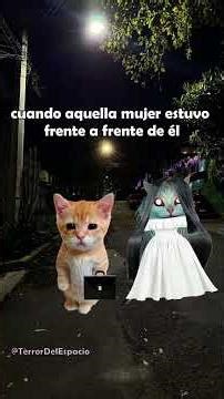 La mujer en el camino...#parati #gatos #terrorymisterio#historia #miedo