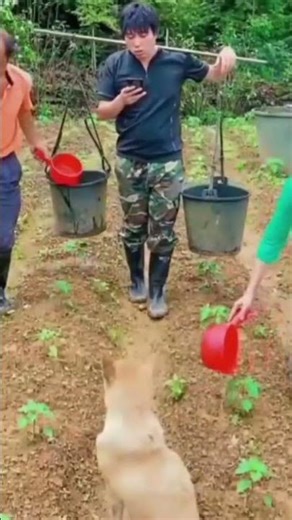 new style farming #prank #trending #comedy #youtubeshorts #mrgoldboy