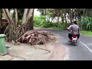 Exploring Northern Fongafale: Tuvalu's Hidden Paradise 🌊🏝️ | Lagoon, Ocean Views, and Island Life