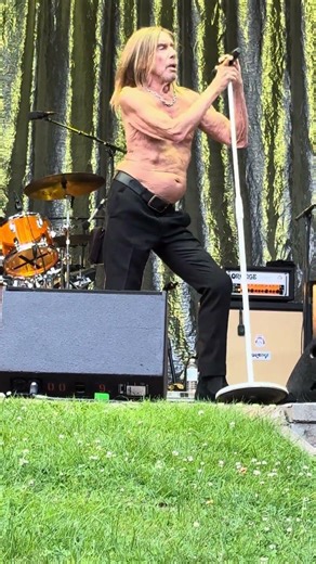 ⚡👕 Iggy Pop – in the Red Hot Chili Peppers orbit – bare chest, live wire, zero softness