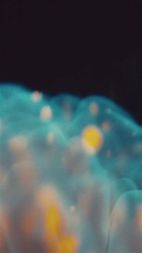 19K views · 153 reactions | The deep sea is a realm of wonder and mystery. 撚 But climate change, overfishing, and plastic pollution wreak havoc on our ocean. And now, this mesmerising underwater world is facing another threat: #DeepSeaMining. Together, we can stop this threat before it’s too late. Share this if you agree governments must stop the irreversible damage of the deep sea now! #ThinkDeeply | WWF | Facebook