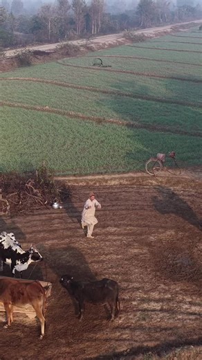 #hsn_tiwana #viral #foryou #punjab #village