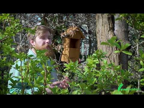 How to Mount up a Bird Box | Green Feathers HQ