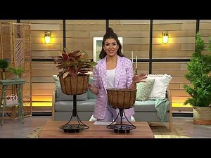 Vegtrug Low or Tall Raised Aqua Tower Planter on QVC