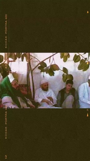 Ahmed Ya Habibi Ya Habibi- in the presence of Shaykh Hazem(Q) #allah #nasheed #islamic_video #sunni #sufi #الله #mawlid #haqqani #dhikr #spiritual #qadiri #thewayofsufi #shayk #dua #hadra