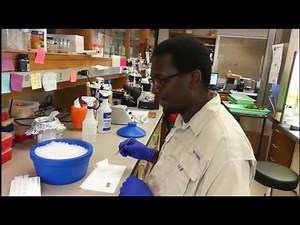 How To Do a Marker Assisted Selection Experiment