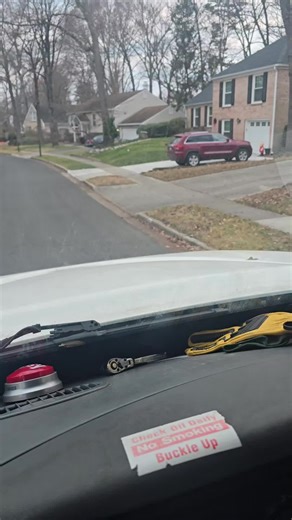 #Maryland Tree Expert #Manifestation of Miracles