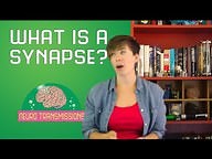 What is a Synapse? ( Video ) | Biology
