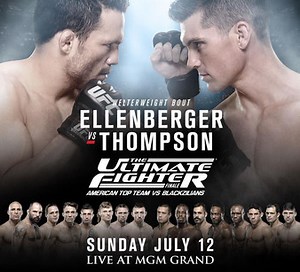Michelle Waterson-Gomez vs. Angela Magana, The Ultimate Fighter 21 Finale | MMA Bout | Tapology