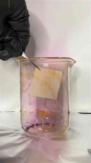 Iodine reveals hidden fingerprints – science demonstration