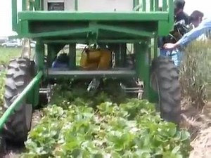 Wonders of Agriculture on Reels