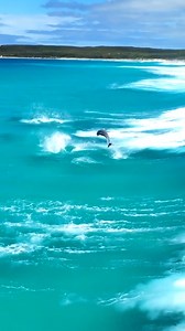 5.4K views · 394 reactions | Dolphins surfing waves in crystal clear waters off the coast of Esperance, Western Australia.  ‎ ‎ ‎ ‎ ‎ Video by Jaimen Hudson | https://bit.ly/48CE4ld ‎ ‎ ‎ ‎ ‎ ‎ ‎ ‎ ‎ ‎ ‎ ‎ ‎ ‎ ‎ #Dolphins #Waves #Ocean #MarineLife #SeaLife #Australia | Grays Harbor Historical Seaport | Facebook