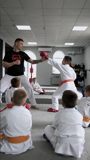 Karate Training in Action: Master and Student Perfecting Techniques