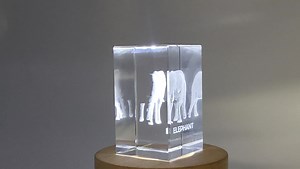 🐘 Majestic Beauty in Crystal 🌟✨ Behold this breathtaking 3D engraved elephant, a masterpiece handcrafted in Canada! 🇨🇦✨ Responsible and made-to-order, this art captures the grace of elephants in their natural habitat. 🌿🌍 Every intricate detail comes to life in sparkling crystal, from the raised trunk to the majestic ears. 🌟💎 http://www.abcrystalcollection.com #ABCrystalCollection #PremiumCrystalEngraving #MadeInCanada #UniqueGifts #CrystalCollection #ElephantArt #CrystalSculpture #Canadi