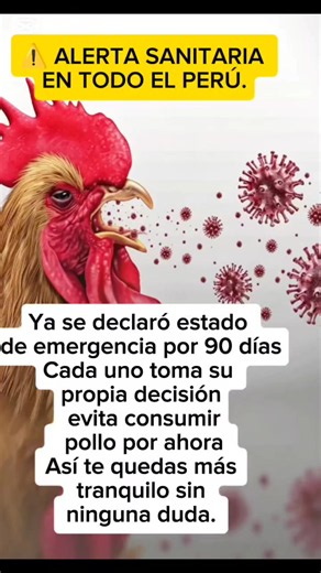 🚨 EMERGENCIA NACIONAL EN PERÚ POR GRIPE AVIAR H5N1 Según el Informe N° D000127-2026-MIDAGRI-SENASA-DSA del 11 de julio de 2026, se declararon 90 días de alerta sanitaria en todo el territorio nacional. Por tu bienestar y el de tu familia, mi recomendación clara es: mejor no consumir pollo por ahora. Prevenir nunca está de más. ¿Tú qué vas a hacer? Cuéntame aquí abajo 👇 🔖 Hashtags: #GripeAviar #H5N1 #SENASA #EmergenciaSanitariaPeru #SeguridadPrimero.