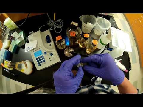 Determining OD600 (cell density)