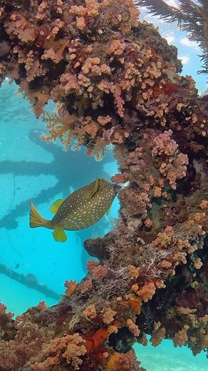 6.1K views · 300 reactions | WAIT FOR IT!! Hilarious interaction...