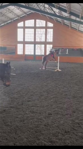 Incredible Highest Jump by Cooley