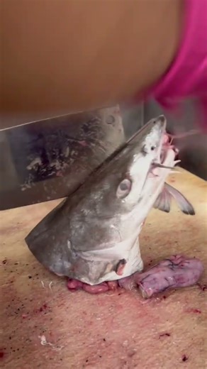 Amazing big fish Head cutting Skills#shorts #shortvideo #shortsviral