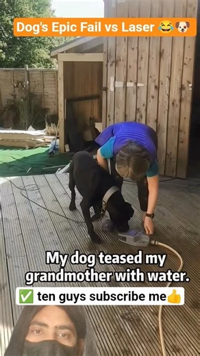 Dog's Epic Fail vs Laser 😂🐶 Instant Regret!