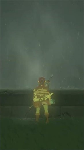 crashing out over rain in BotW #meme #gaming #nintendoswitch #Nintendo #loz #botw