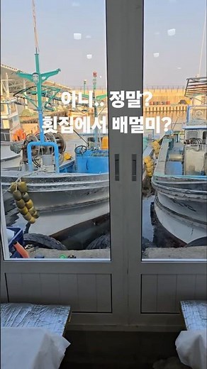 어부가 잡아오는 고깃배횟집!가성비터지는 자연산활어횟집.속초 설악항21호 재진이네.#속초 #속초맛집 #sokcho #kfood #koreanfood #streetfood