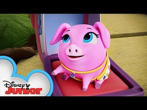 Pearl the Piglet Profile 🐷 | T.O.T.S. | Disney Junior