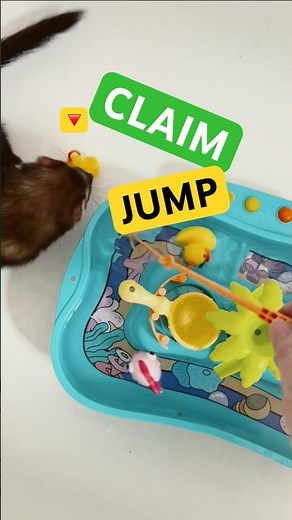 Free‑Rider Capture