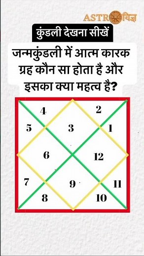 Basic astrology for beginners #astrology #learnastrology