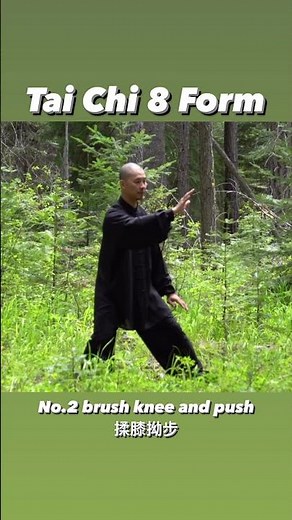 Tai Chi 8 Form for beginner easy to learn #taichi #太极拳 #kungfu #peace