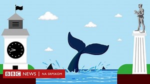 Panonsko more: Kada su severom Srbije plivali megalodoni i kitovi, a Fruška gora i Avala bile ostrva - BBC News na srpskom