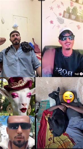 Vidéos de ii.boss_afghan.ii_ بدماش (@king_0033300) avec original sound - 🎵MAX SONGS 🎵