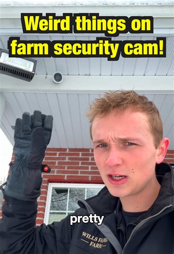 We get some pretty weird things in our security cameras! #farmlife #turkeys