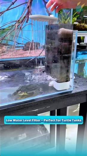 Low Water Level Filter – Perfect for Turtle Tanks