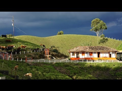 Productive Recreational Farms for Livestock Breeding - TvAgro by Juan Gonzalo Angel