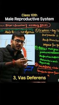 Male Reproductive System class 10 #shorts #class10 #exam #cbse #viral #short #trending #ytshorts