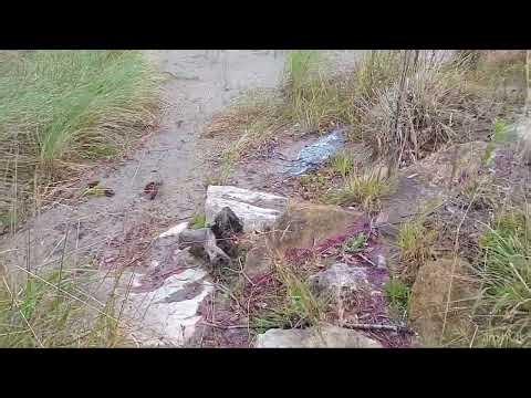 Views of Collingwood,Hobbit Location, Wharariki Beach, Cape Farewell, Farewell Spit Day 11