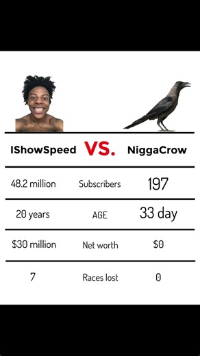 Day 34… is this the turning point? 🐦 vs iShowSpeed