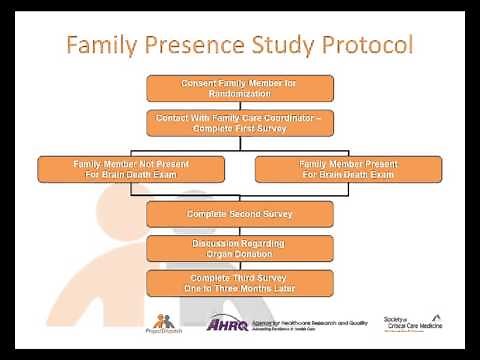 Understanding Brain Death: From Experts to Laypersons