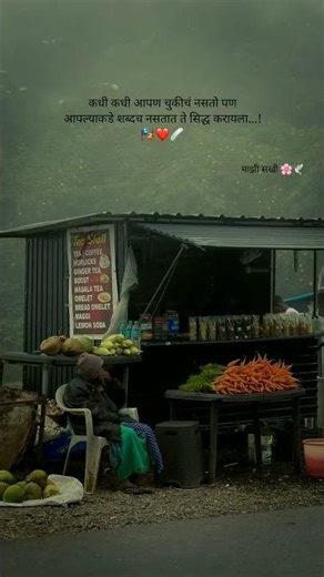 कधी कधी आपण चुकीचे नसतो whatsapp status #status #love #whatsappstatus