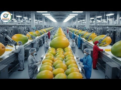 Inside a Dried Mango Factory – Preserving Exotic Fruit for Global Export Full Process